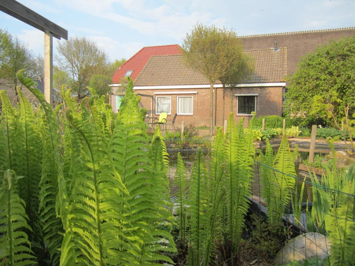 B&B Kleintje Eleveld Exterior foto